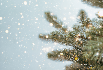 Foto: Tannenzweige mit Lichtzauber auf hellblauem Hintergrund.