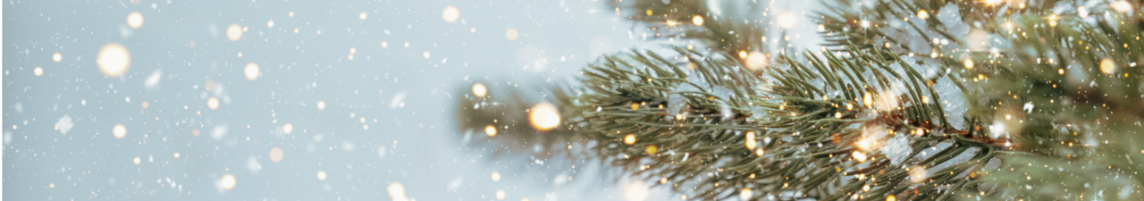 Foto: Tannenzweige mit Lichtzauber auf hellblauem Hintergrund.