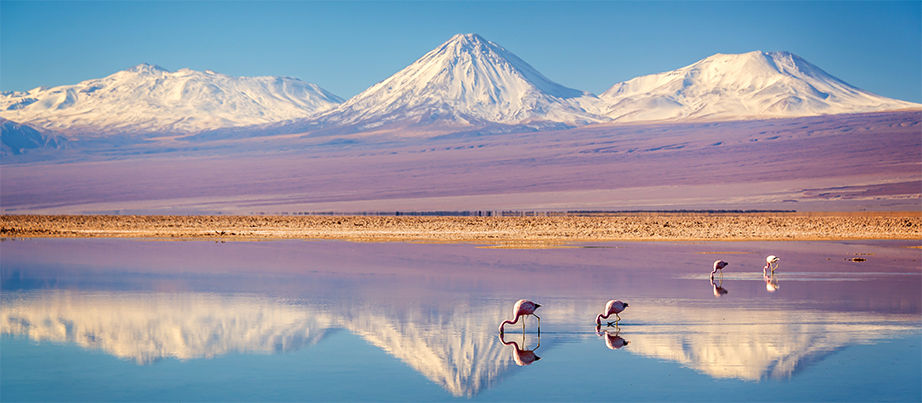 Foto: Lagune Chaxa mit Flamingos. Im Hintergrund sieht man Berge.