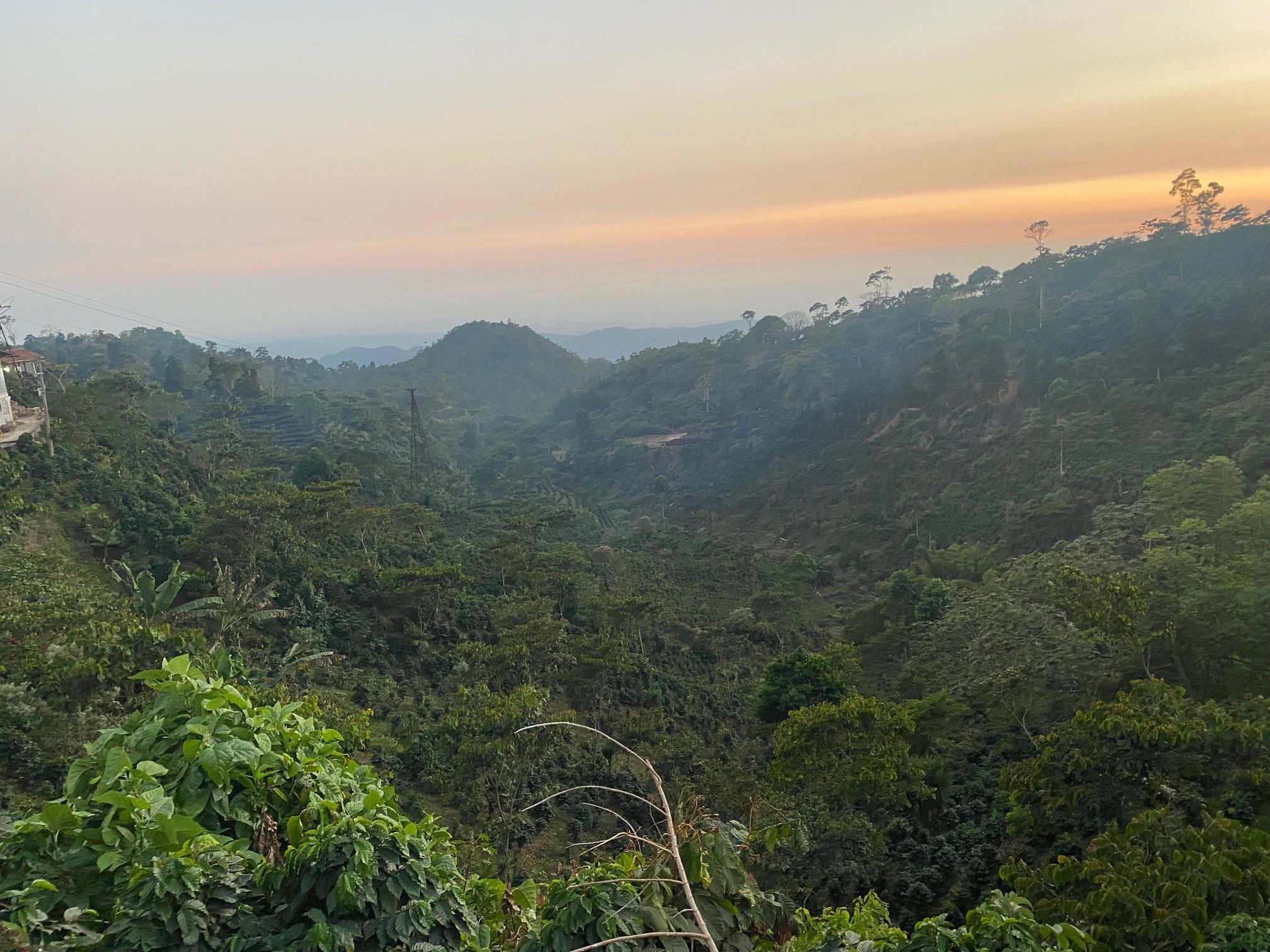 Foto: Ausblick über die grünen Wälder in Chiapas Mexiko