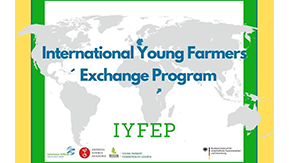 Grafik: Weltkarte, Text: International Young Farmers Exchange Program