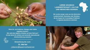 Foto: Fotocollage Auszubildende in der Landwirtschaft und Feldfrüchte